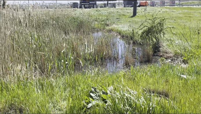 На Одещині зафіксували забруднення ґрунтів стічними водами: перевищення амонію та …