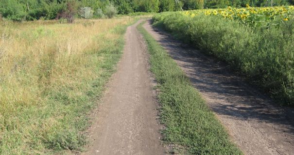 На Одещині заборонили рух польовими дорогами біля держкордону