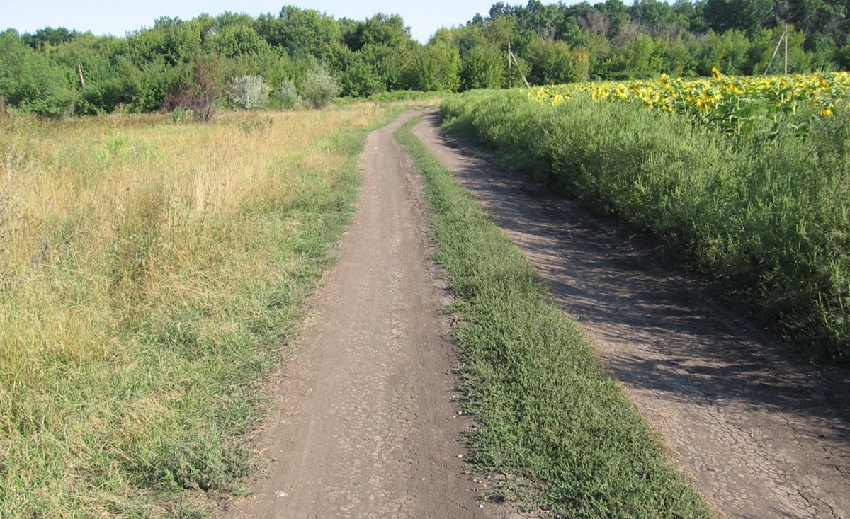 На Одещині прикордонники заборонили їздити польовими дорогами
