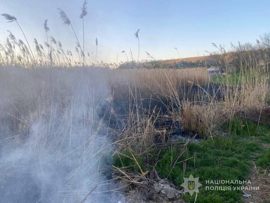 На Одещині через спалювання сміття ледь не сталася масштабна пожежа