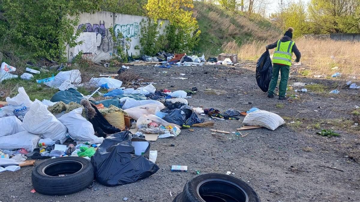 «Усім - фіолетово»: киянка покликала людей на весняну толоку – …