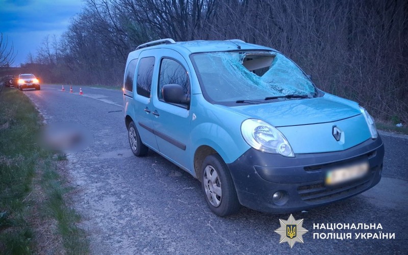На Полтавщині автомобіль збив козулю: тваринка загинула, маленька пасажирка у …