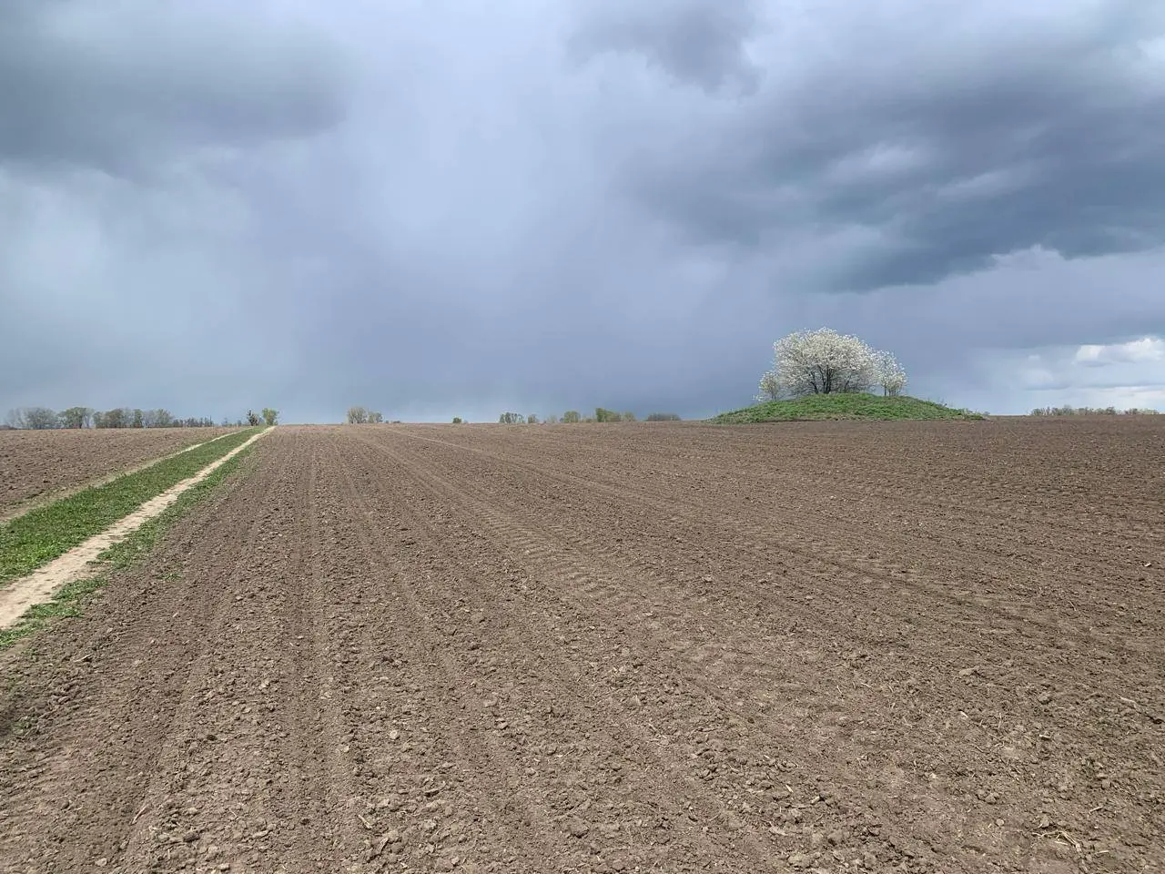 На Полтавщині археологи знайшли нову групу середньовічних курганів