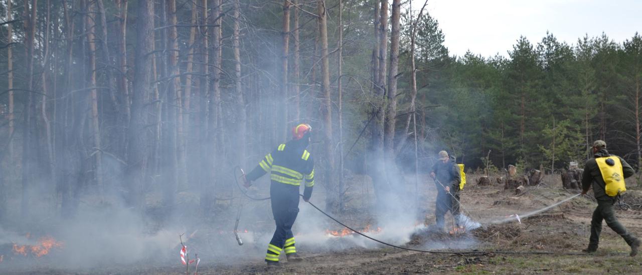 У лісах Полтавщини від початку пожежонебезпечного періоду сталося два загоряння