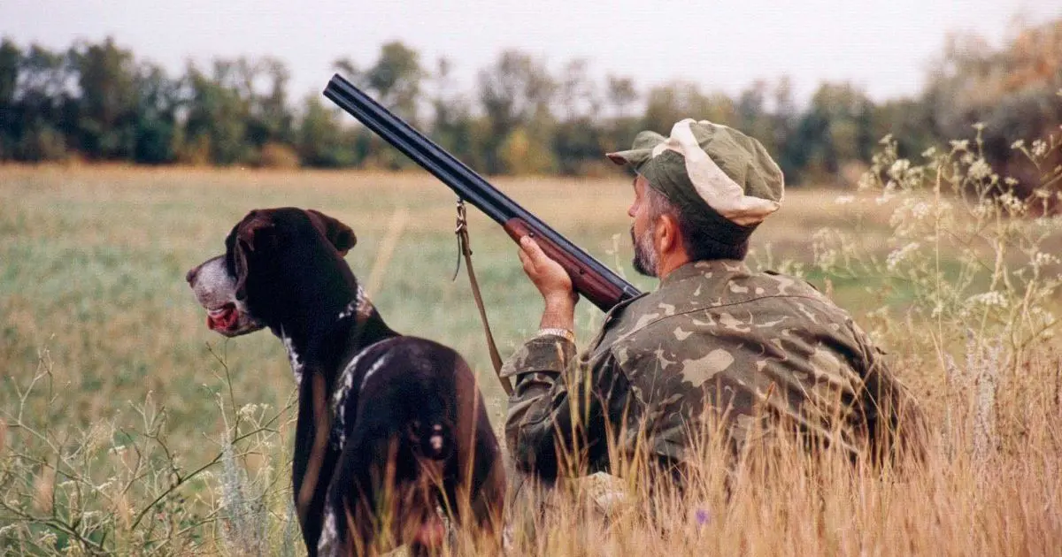 На Полтавщині поки не планують відновлювати полювання