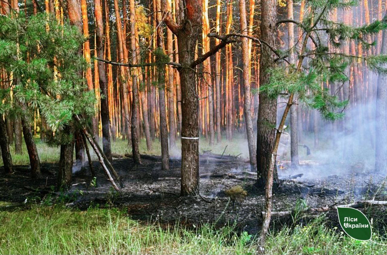 На Полтавщині прогнозують надзвичайний рівень пожежної небезпеки