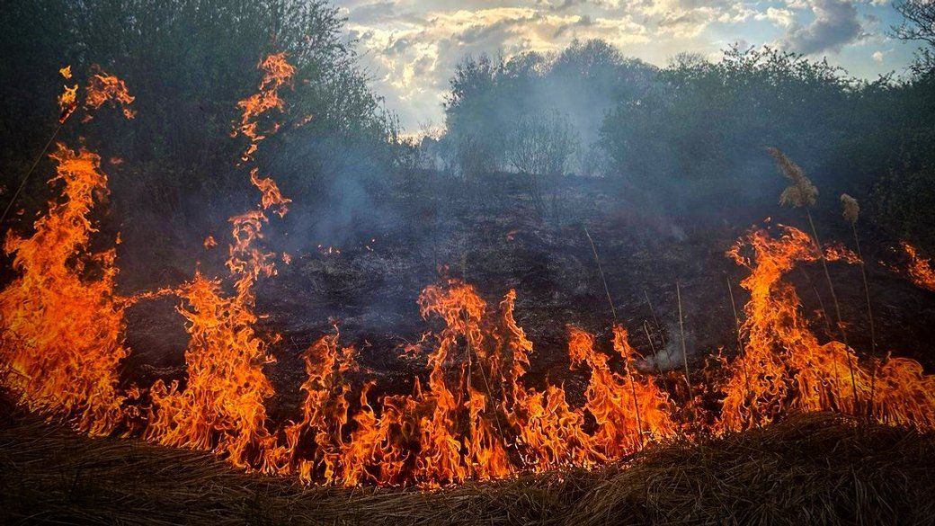 Як чотири Корпусних парки: на Полтавщині вигоріла земля