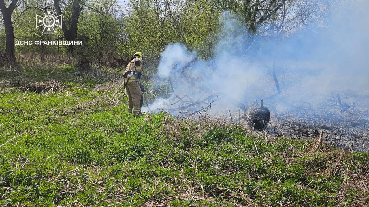 На Прикарпатті за добу загасили п’ять пожеж у природних екосистемах
