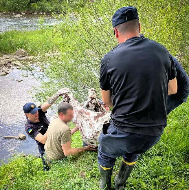 На Рахівщині вилучили з річки тіло ймовірної потопельниці