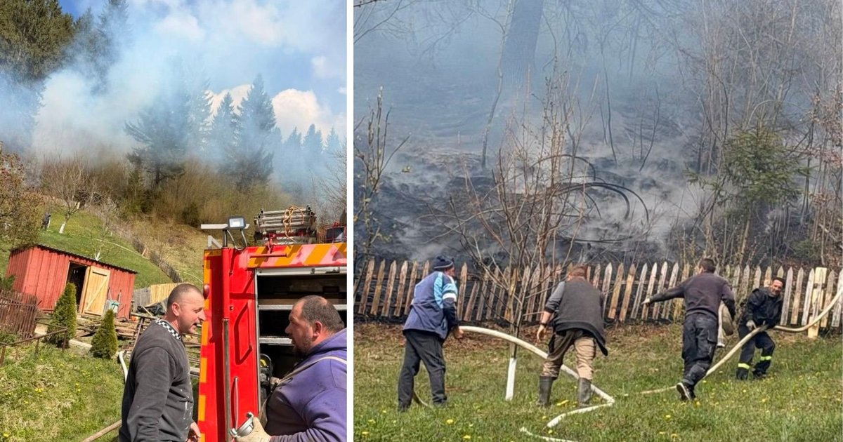 На Рахівщині лісову пожежу зупинили за кілька метрів від житлових …