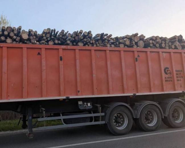 На Рівненщині вантажівка незаконно перевозила деревину