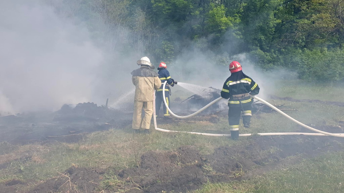 На Рівненщині вирує масштабна лісова пожежа – поліція