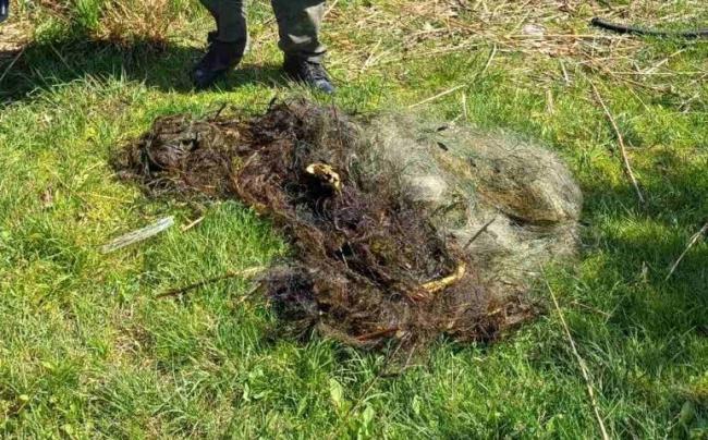 На Рівненщині екоінспектори вилучили 250 м браконьєрських сіток
