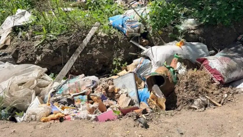 На Рівненщині екоінспектори виявили стихійні сміттєзвалища