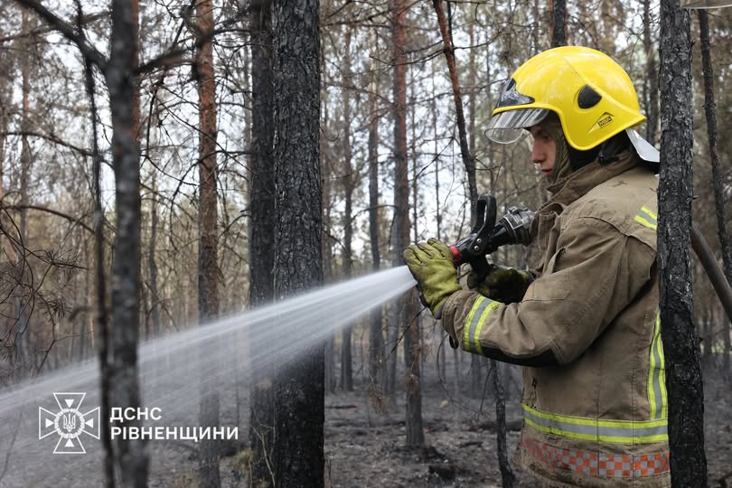 На Рівненщині ліквідували масштабну пожежу на 90 га
