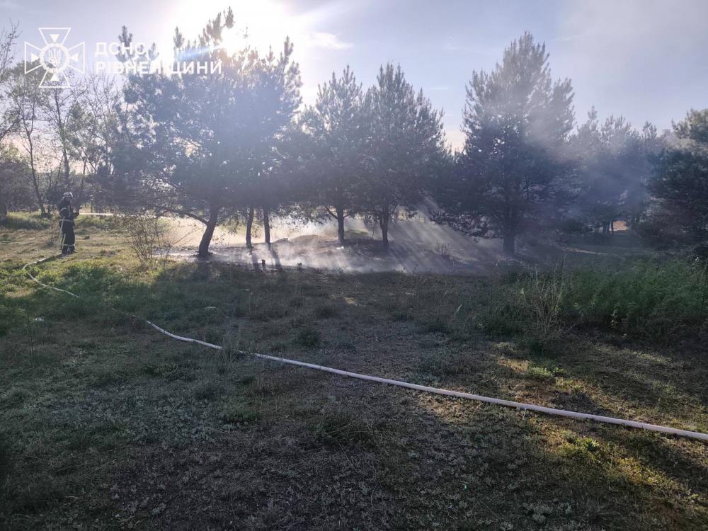 На Рівненщині за добу згоріло понад 6 га сухої рослинності