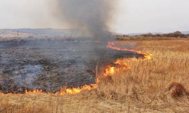 На Рівненщині за добу рятувальники загасили 8 пожеж сухостою
