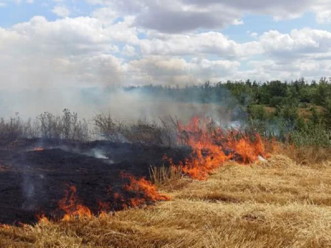 На Рівненщині за добу сталося 7 загорянь сухостою