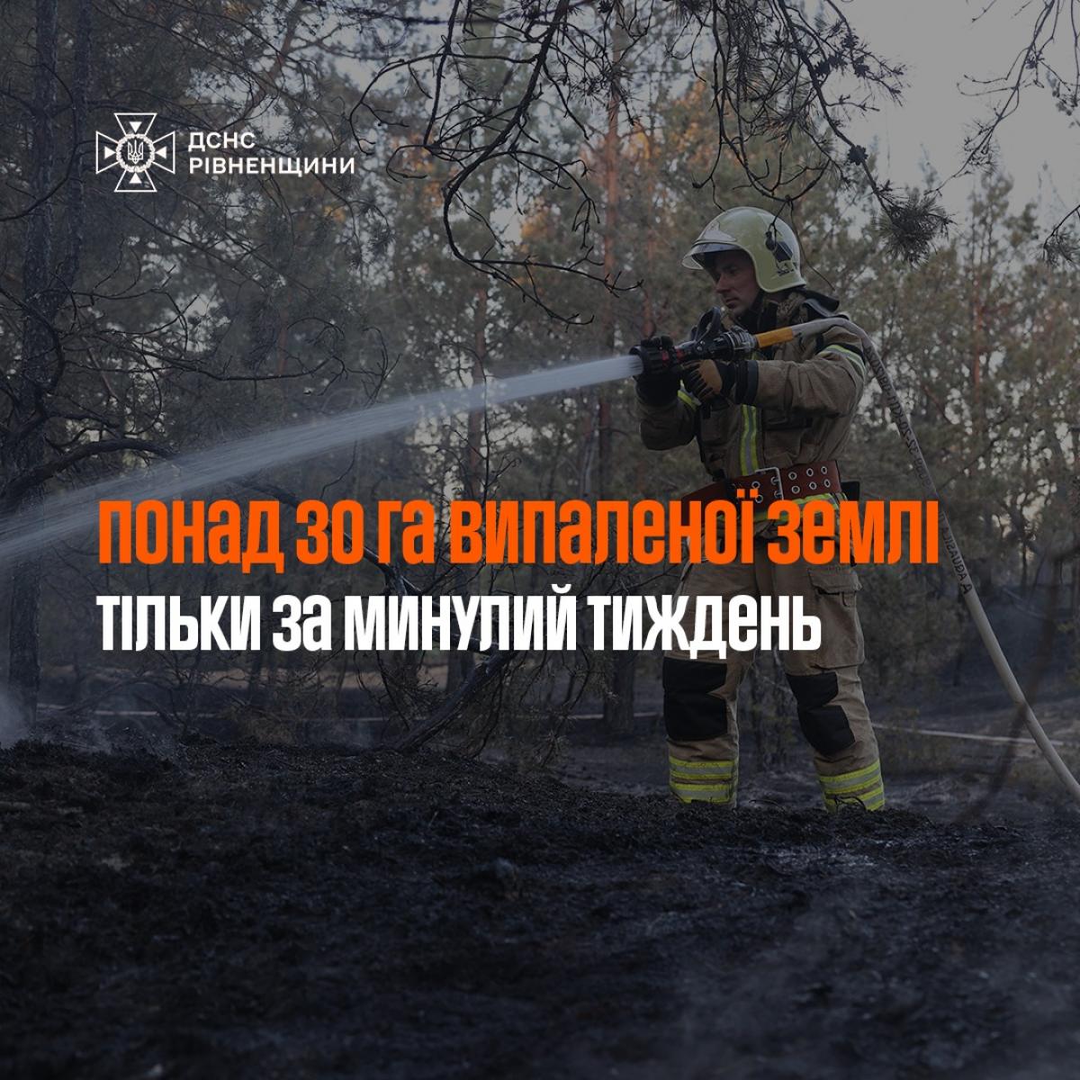 На Рівненщині за тиждень вигоріло понад 30 гектарів сухостою