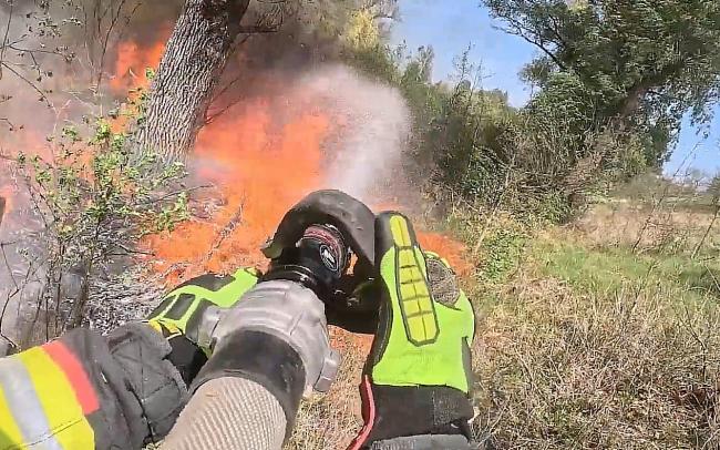 На Рівненщині сталося 15 пожеж сухостою (ВІДЕО)