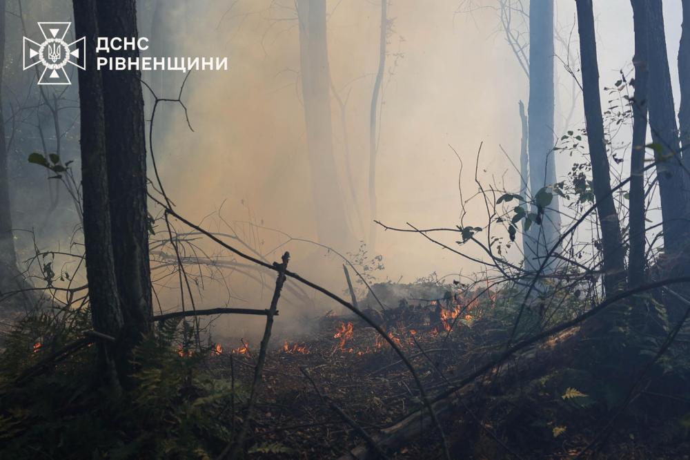 На Сарненщині поблизу села Більськ триває остаточна ліквідація пожежі