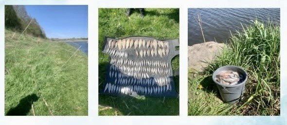 На Старокостянтинівщині спіймали рибного браконьєра з уловом на ₴248 тисяч