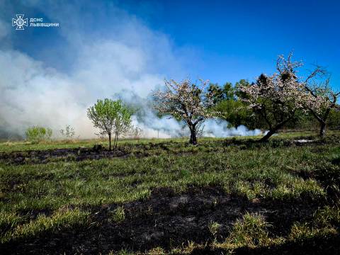 На Стрийщині через спалювання сухостою жінка з опіками потрапила до …