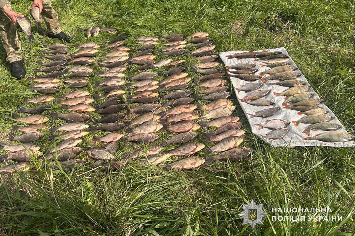 На Теребовлянщині викрили браконьєра: збитки довкіллю оцінили у 250 тисяч …