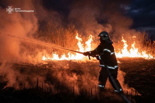 На Тернопільщині загорівся очерет та суха трава на площі більше …