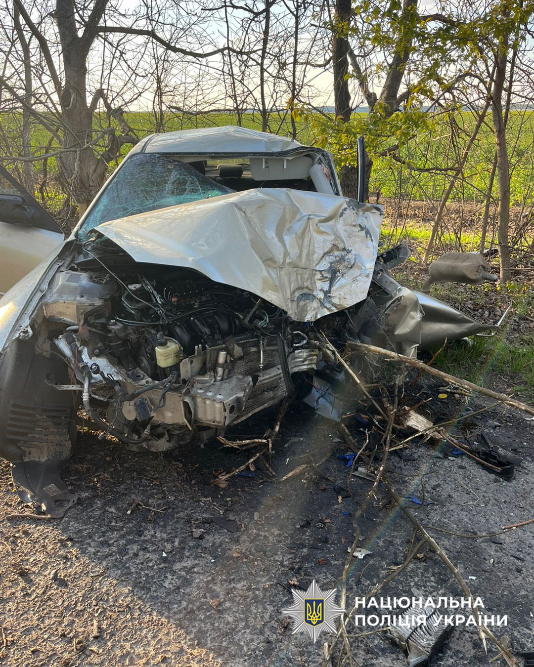 На Уманщині загинув водій після зіткнення з деревом