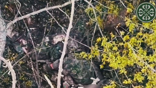 На Харківщині FPV-дрони знищили двох росіян у "зеленці": кадри з …