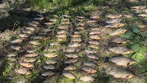 На Харківщині чоловік наловив червонокнижної риби на понад 128 тис. …