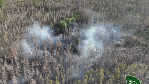 На Харківщині за тиждень через спеку та обстріли вигоріло майже …