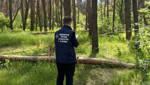 На Харківщині фірма забудувала ліс будинками та обнесла парканом: прокуратура …