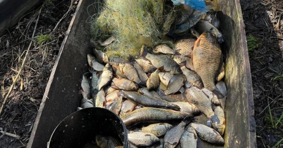 На Харківщині чоловік виловив з річки червонокнижних риб