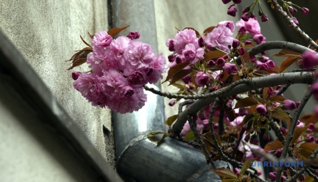 На Хмельниччині зафіксували рекордні для квітня температурний «мінус»