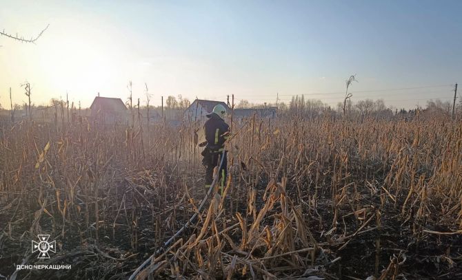 На Черкащині вигоріло понад два гектари відкритої території