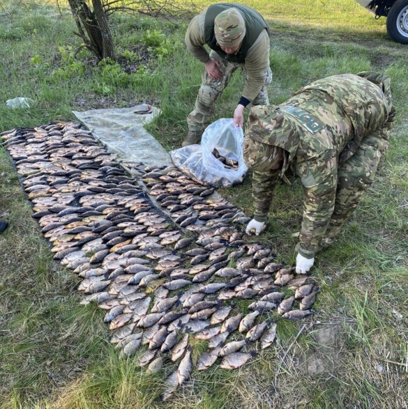 На Черкащині затримали браконьєра з рибою на понад 800 тисяч …