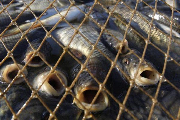 На Черкащині чоловік має сплатити понад 200 тисяч гривень за …