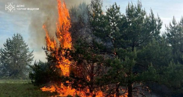 На Чернігівщині через падіння російського дрона спалахнула масштабна пожежа