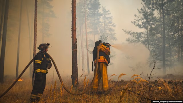 На Чернігівщині підвищився радіаційний фон через масштабні пожежі в зоні …