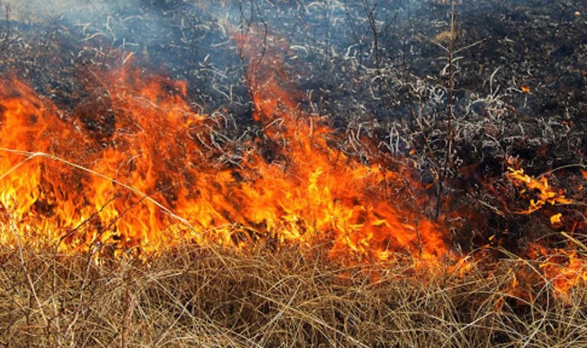 На Чернігівщині через бойові дії сталося три пожежі