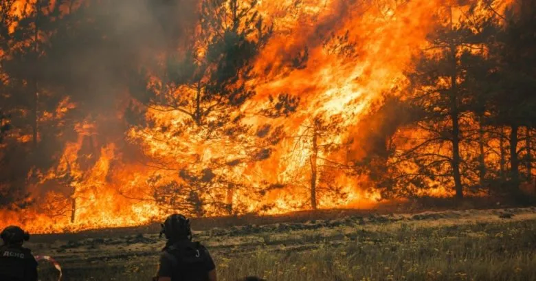 На Чернігівщині через обстріли з боку рф палає 2400 гектарів …