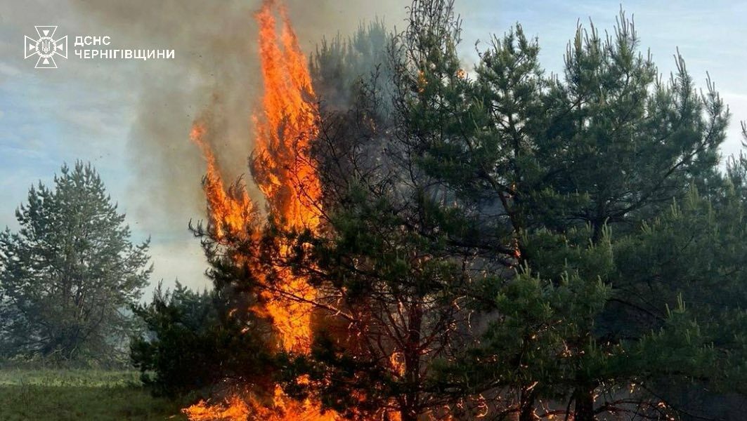 На Чернігівщині через падіння ворожо БпЛА загорілася рослинність (Фото)