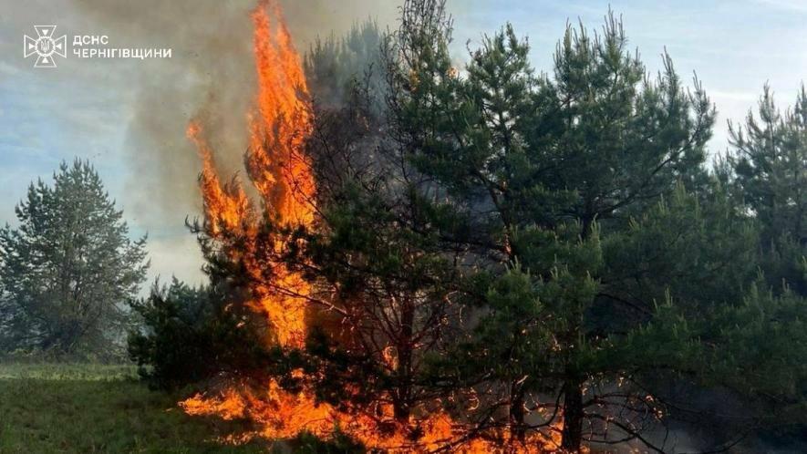 На Чернігівщині через падіння російського БпЛА спалахнула пожежа в екосистемах
