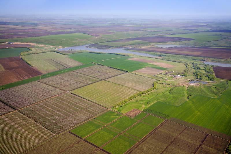 На Чигиринщині через суд намагаються повернути у власність громади земельні …