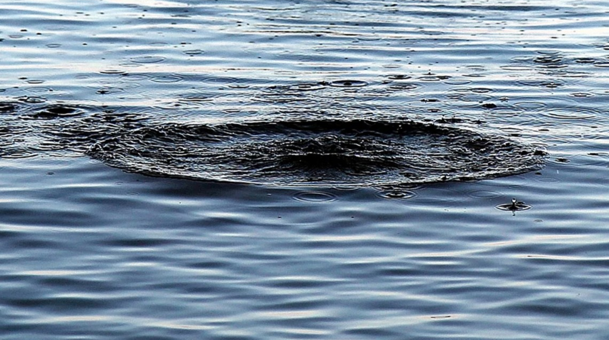 На водоймах Вінниччині знайшли тіла двох чоловіків