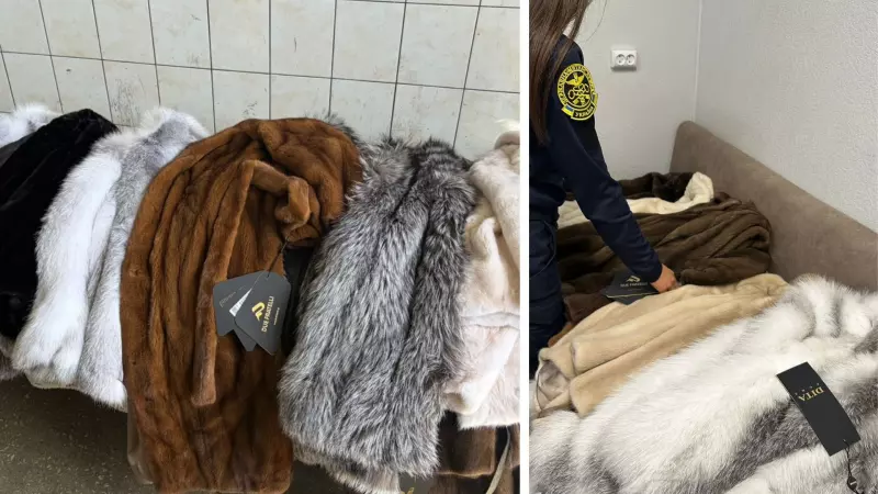 На кордоні з Румунією зупинили водія, який незаконно перевозив шуби …