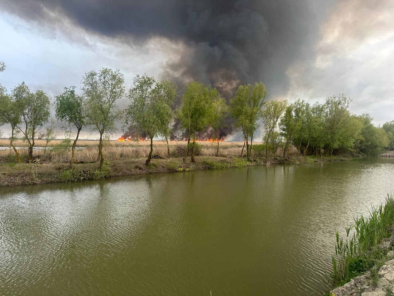 На острові Єрмаків продовжує вирувати пожежа