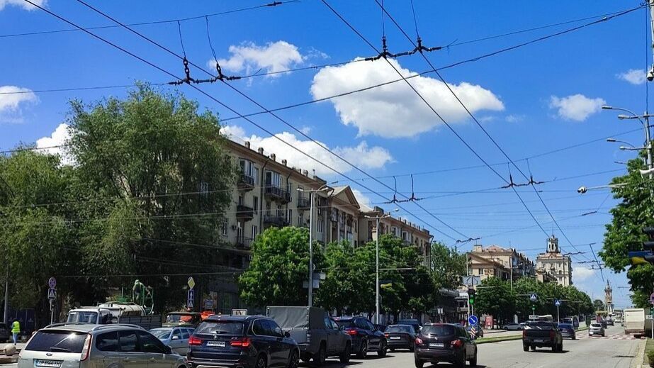 На запорізькому проспекті знесли більше сотні дерев